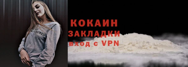бошки Мегион